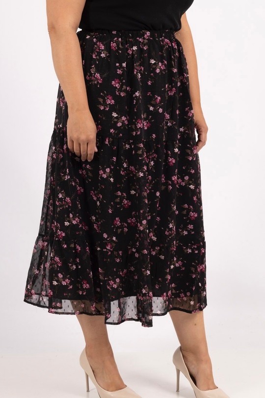 lp15215-NOIR