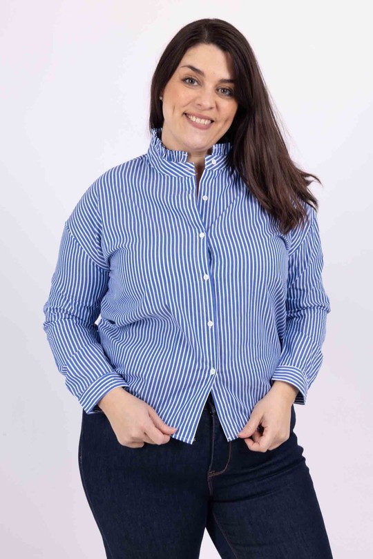 LP15301-BLEU