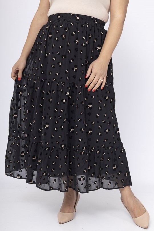 lp10293-NOIR