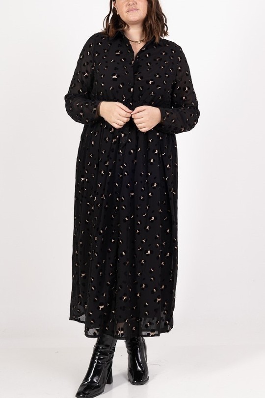 lp11627-NOIR