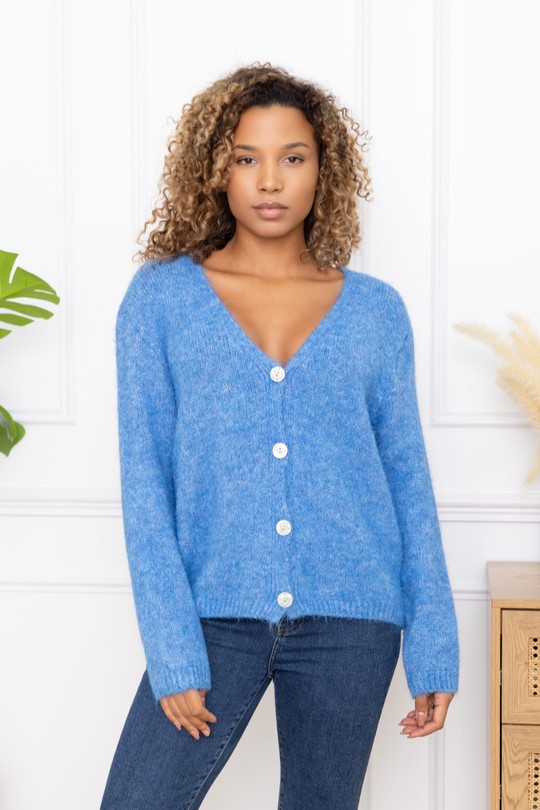 850-BLEU
