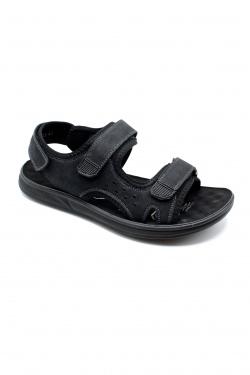 A023-KAKI