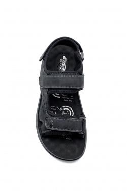 A023-KAKI