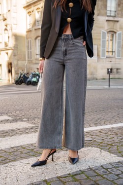 D2009-GRIS