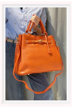 C0136-CAMEL