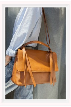 C1043-CAMEL