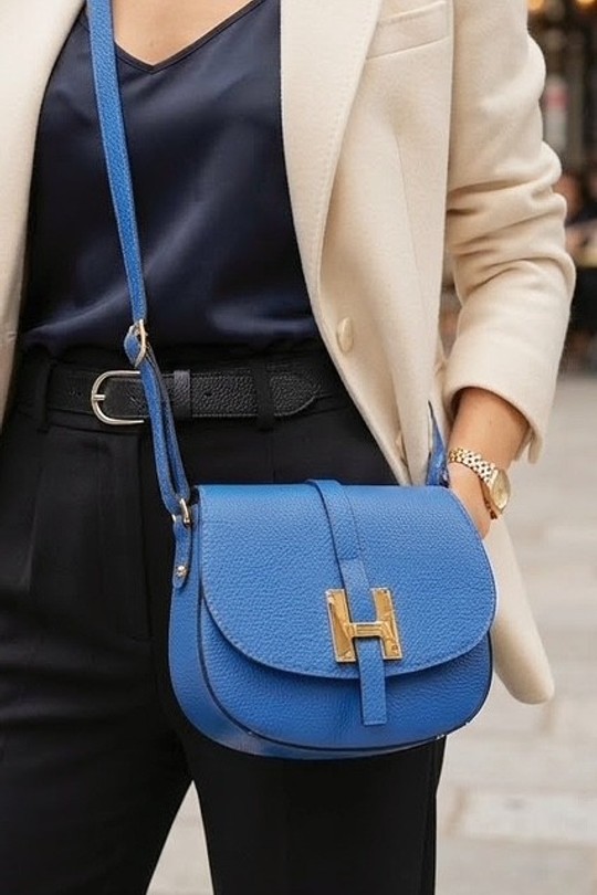 C22261-BLEU ROI