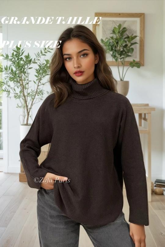 27E71H45-PLUS SIZE-MARRON