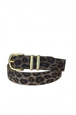 CE31-GOLD