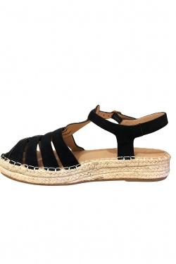 CA058-13-GOLD