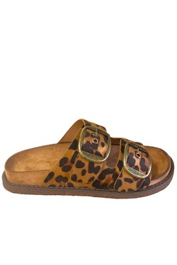 BK407-MARRON
