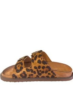BK407-MARRON