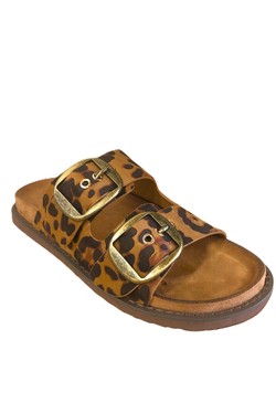 BK407-MARRON