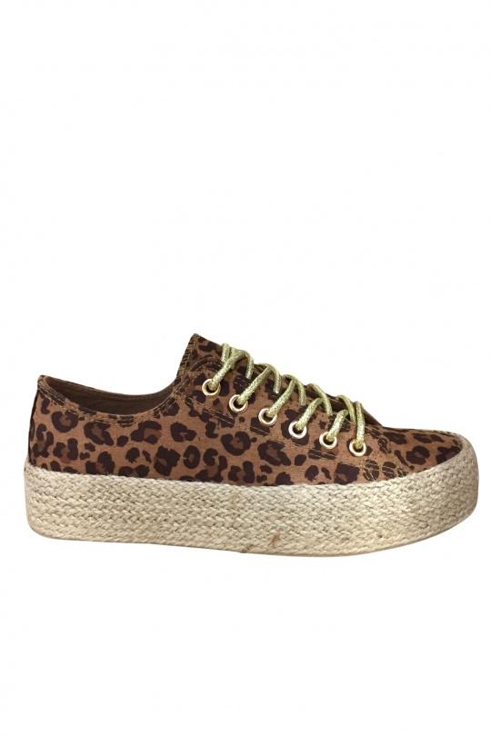 NN-10-LEOPARD