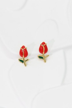 222BO72T300-ROUGE
