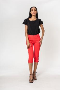 P230-10-ROUGE