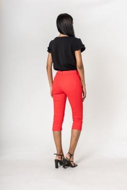 P230-10-ROUGE