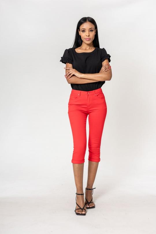 P230-10-ROUGE