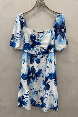2WR2654-bleu-BLEU ROI