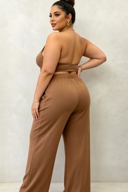 2WP67-CAMEL-CAMEL