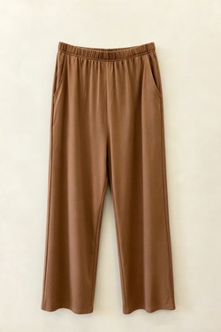2WP67-CAMEL-CAMEL