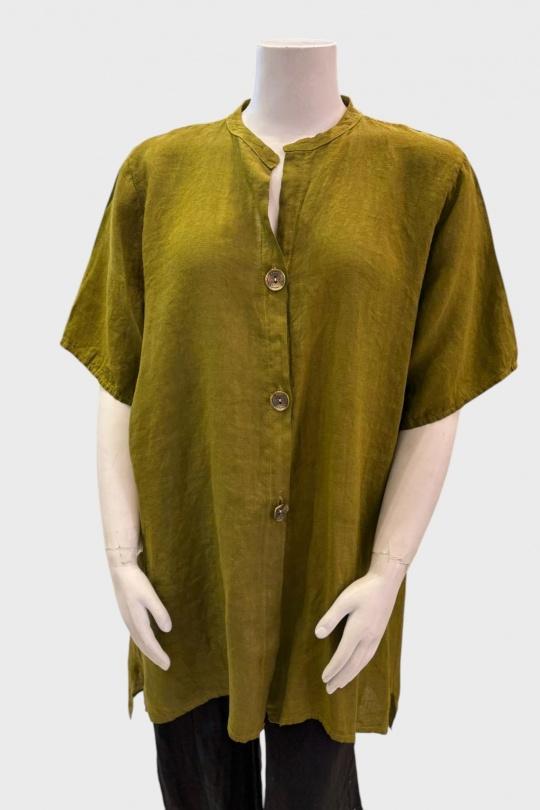 01622-OLIVE