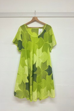 R1941-2-VERT ANIS