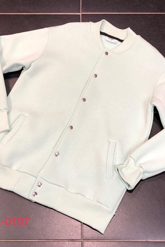 AA-197MINT-MENTHE