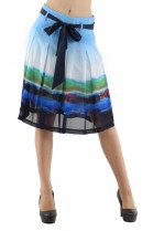S6131-BLEU