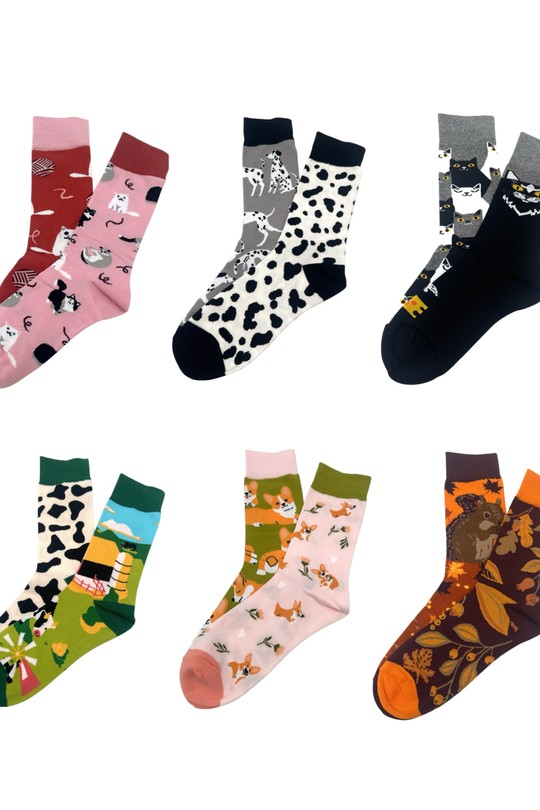 CHS217-6-PACK12-MULTICOLORE