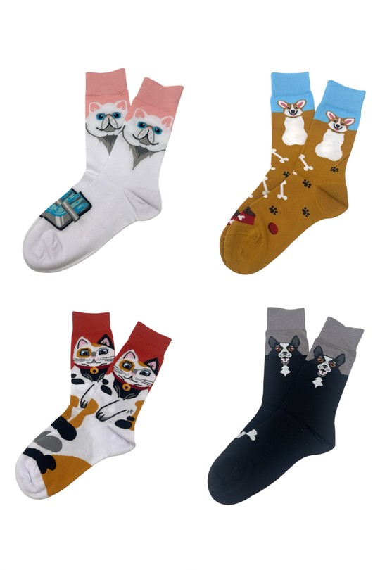 CHS216-4-PACK12-MULTICOLORE