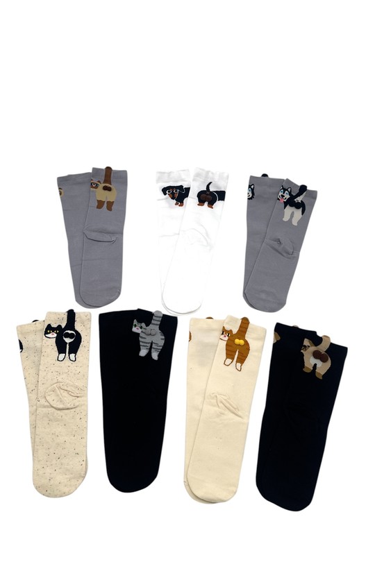 CHS213-8-PACK12-MULTICOLORE