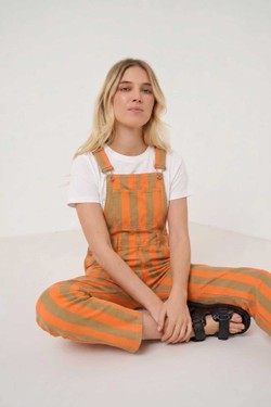 J1058-ORANGE