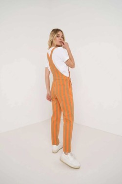 J1058-ORANGE