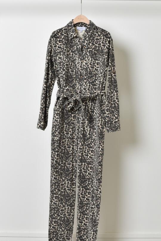 J0773-LEOPARD
