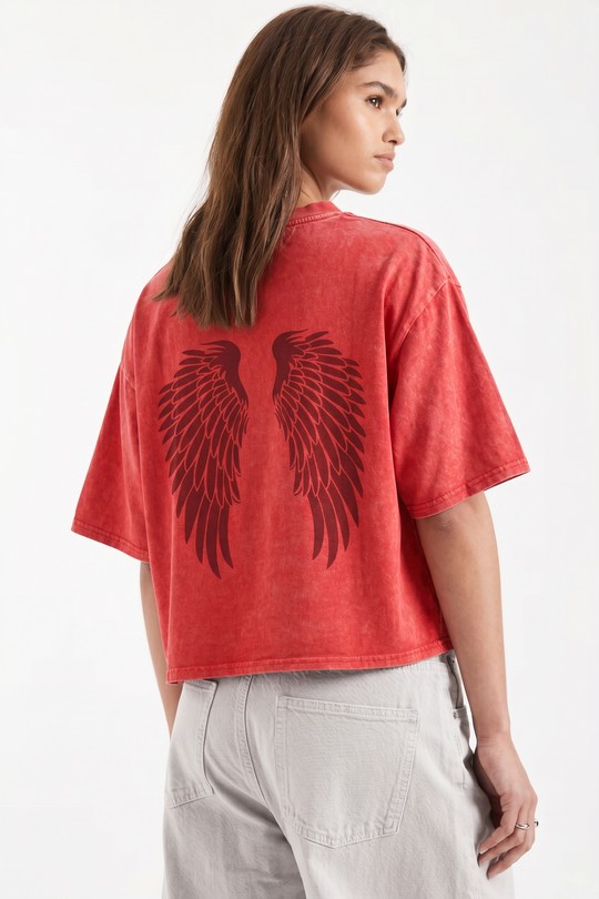 3100 WINGS-ROUGE
