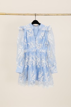 W49934-BLEU