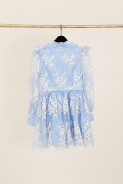 W49934-BLEU