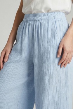07906565-BLEU