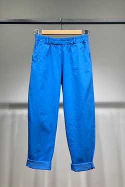 04850781-BLEU