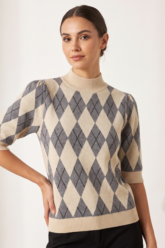 01290076-GRIS