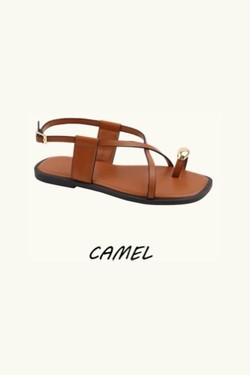 DM572-CAMEL