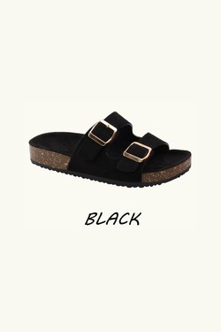 DM496-MARRON