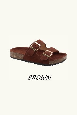 DM496-MARRON