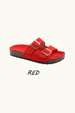 DM496-MARRON