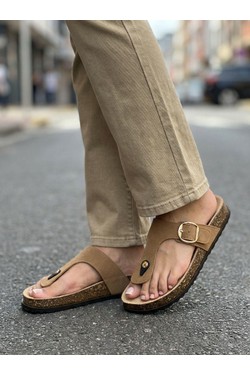 DM493-KAKI