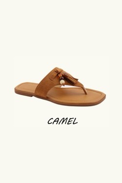 DM591-MARRON