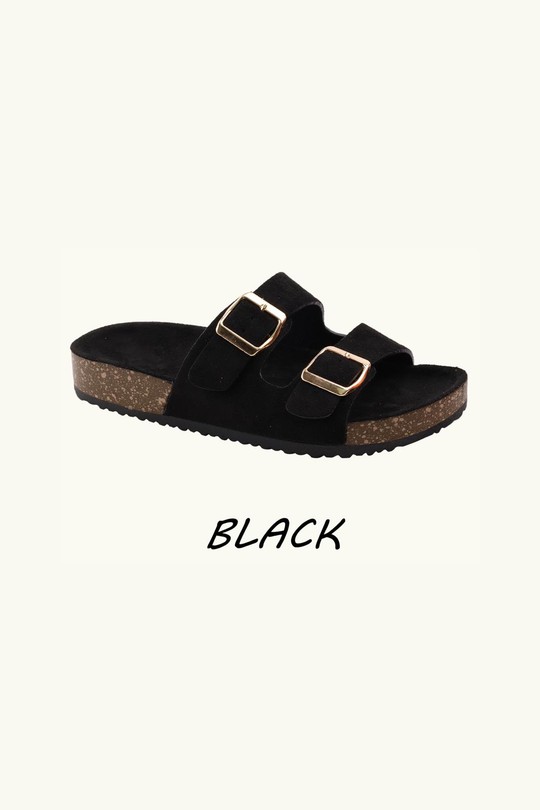 DM496-NOIR