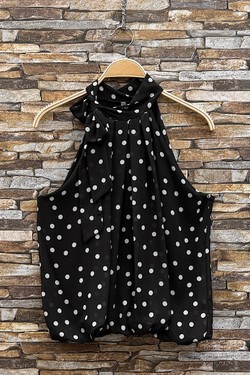 GL_0795_POIS_ANAIS526-POIS