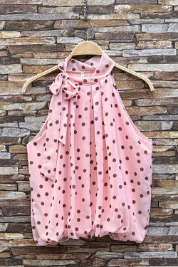GL_0795_POIS_ANAIS526-POIS
